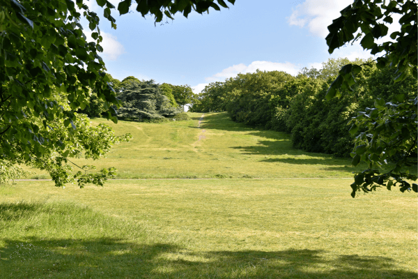 Descubra Parques e Jardins Escondidos para um Dia Perfeito em Família em Belo Horizonte
