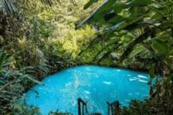 O Coração do Jalapão o Chamado das Águas em Novembro