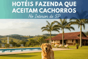 Hotéis fazenda que aceitam cachorros no interior de SP