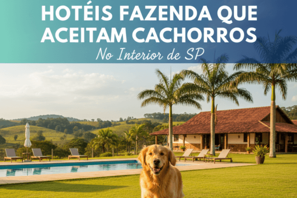 Hotéis fazenda que aceitam cachorros no interior de SP