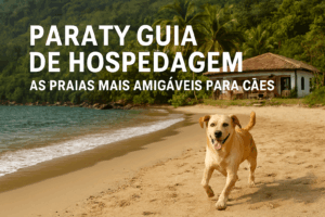 Paraty Guia de Hospedagem As Praias Mais Amigáveis para Cães